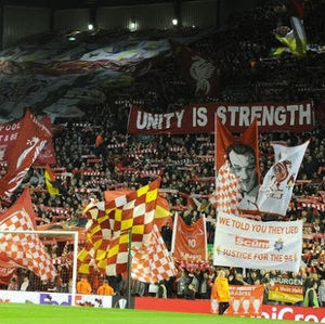 Meet your Posher, Alfie